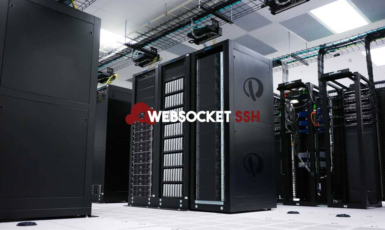 The Difference Between Dedicated Server Hosting and VPS